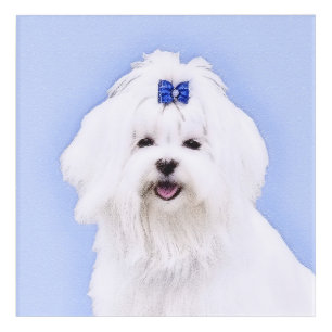 Maltese Painting - Cute Original Dog Art