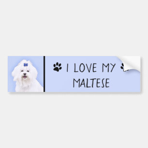 Maltese Painting - Cute Original Dog Art Bumper Sticker