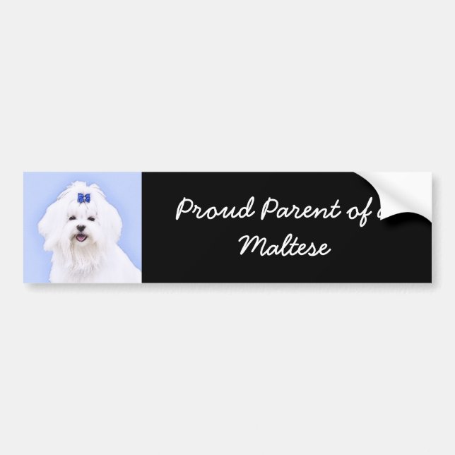 Maltese Painting - Cute Original Dog Art Bumper Sticker (Front)