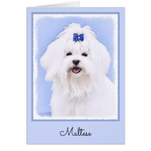 Maltese Painting - Cute Original Dog Art Cards