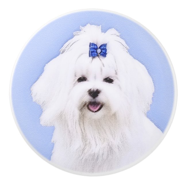 Maltese Painting - Cute Original Dog Art Ceramic Knob (Front)