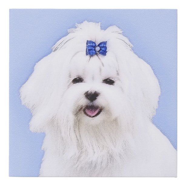 Maltese Dog Art & Wall Décor | Zazzle