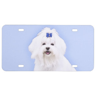Maltese Painting - Cute Original Dog Art License Plate