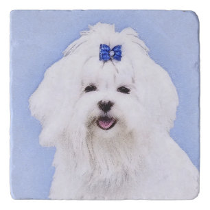 Maltese Painting - Cute Original Dog Art Trivet