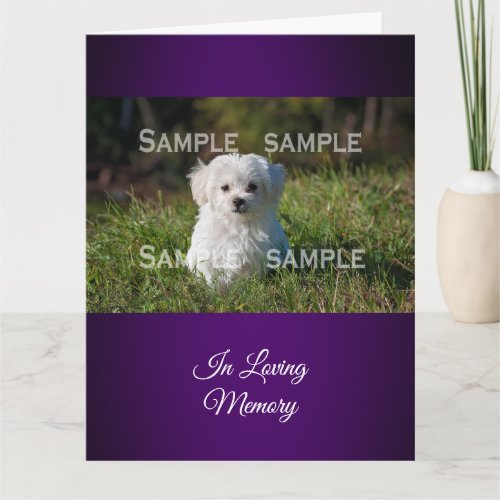 Maltese poodle in grass   Customize Card