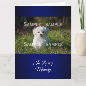 Maltese Poodle In Grass Photo  | Personalize Card by petcherishedangels at Zazzle