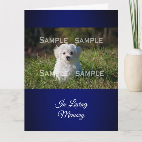 Maltese poodle in grass photo   Personalize Card