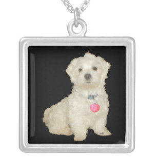 Maltese Portrait Necklace