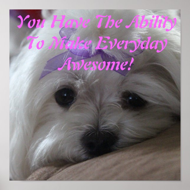 Maltese Poster-Dog-Ability Poster (Front)