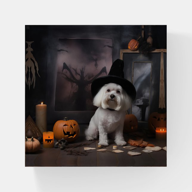 Maltese Pumpkins Halloween Scary  Paperweight (Front)