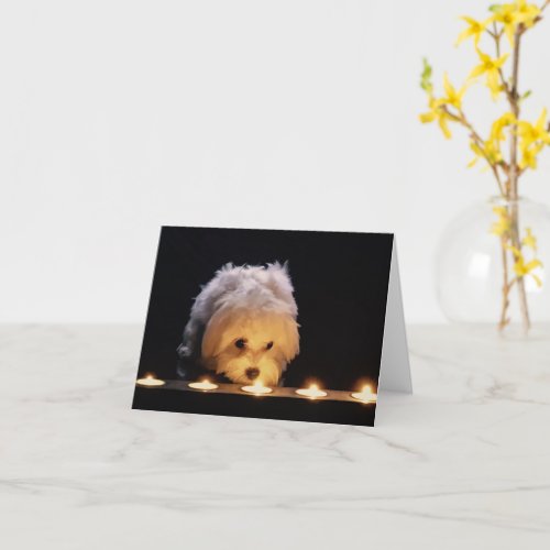 Maltese Pup Blank Sympathy Card