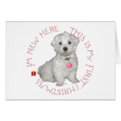Maltese Pup First Christmas (Front Horizontal)