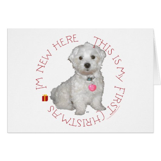 Maltese Pup First Christmas Cards (Front Horizontal)