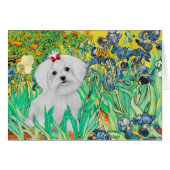 MALTESE pup - Irises (Front Horizontal)
