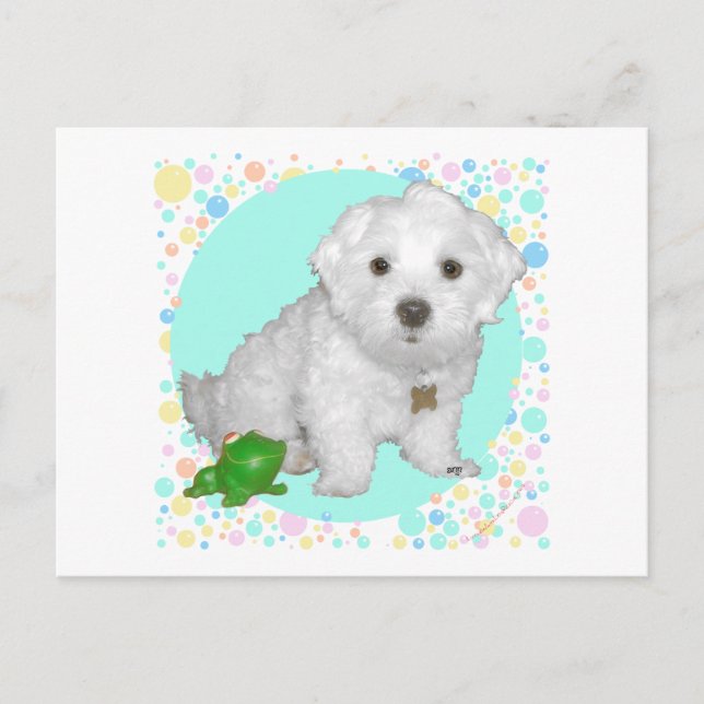 Maltese Pup with Bubbles Postcard (Front)