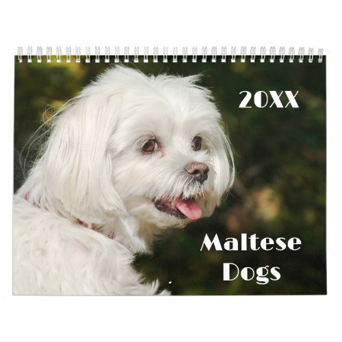 Maltese Puppies and Dogs Calendar