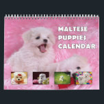 Maltese Puppies Calendar<br><div class="desc">Get ready to be charmed every single day with our delightful "Adorable Maltese Puppies" Calendar. If you're a dog lover or know someone who is, this heartwarming calendar is an absolute must-have! Inside, you'll find twelve months filled with endearing, high-quality photographs capturing the sheer cuteness of Maltese puppies. Each page...</div>