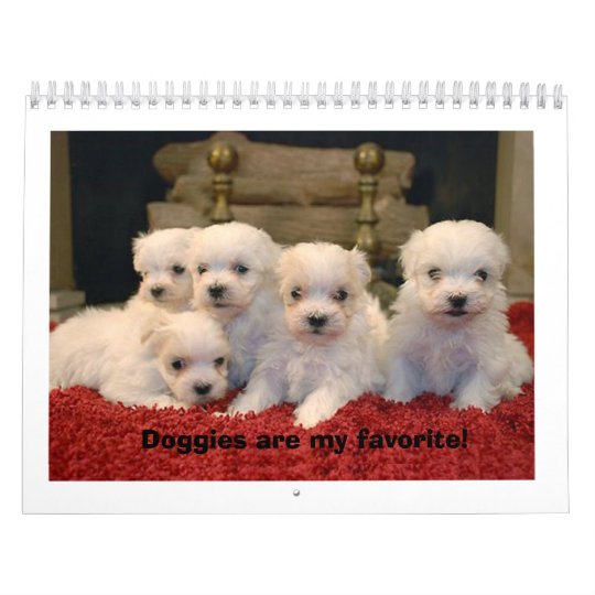 Maltese Puppies Calendar