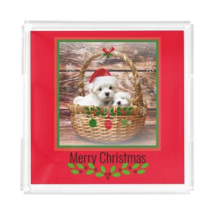 Maltese Puppies Christmas design Acrylic Tray