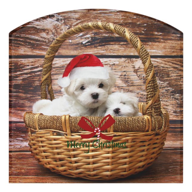 Maltese Puppies in a Christmas Basket Door Sign (Contour Front)
