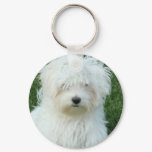 Maltese Puppies Keychain