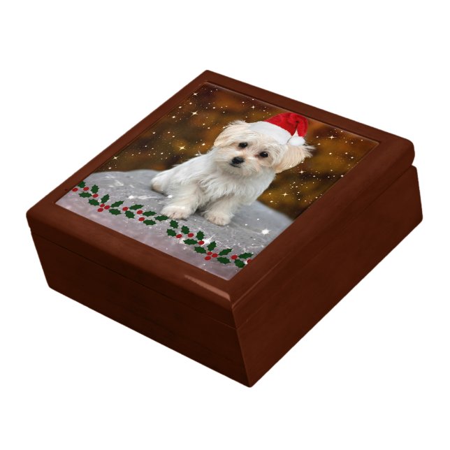 Maltese Puppy at Christmas Gift Box (Side)