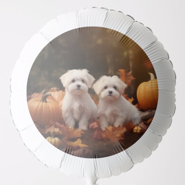 Maltese Puppy Autumn Delight Pumpkin  Balloon (Front)