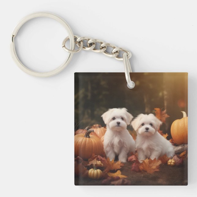 Maltese Puppy Autumn Delight Pumpkin  Keychain (Front)