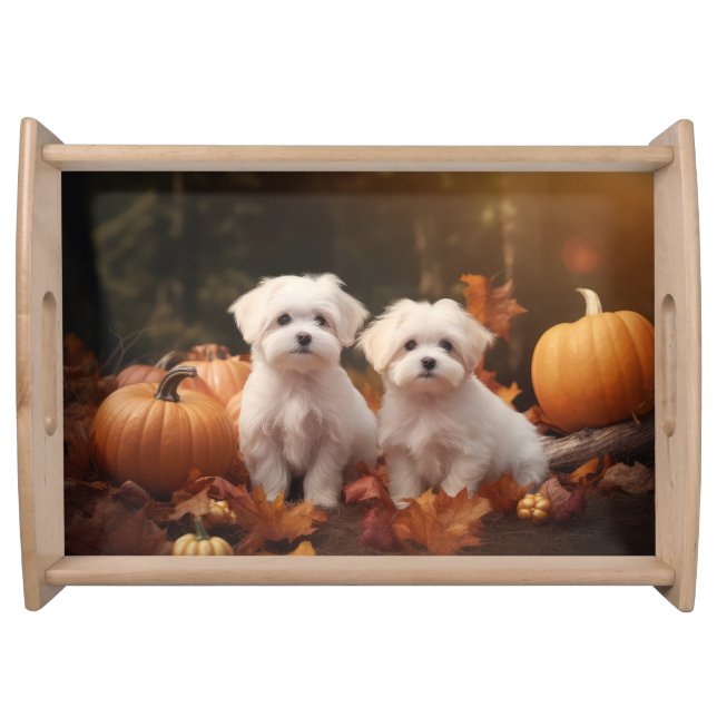 Maltese Puppy Autumn Delight Pumpkin  Serving Tray (Front)