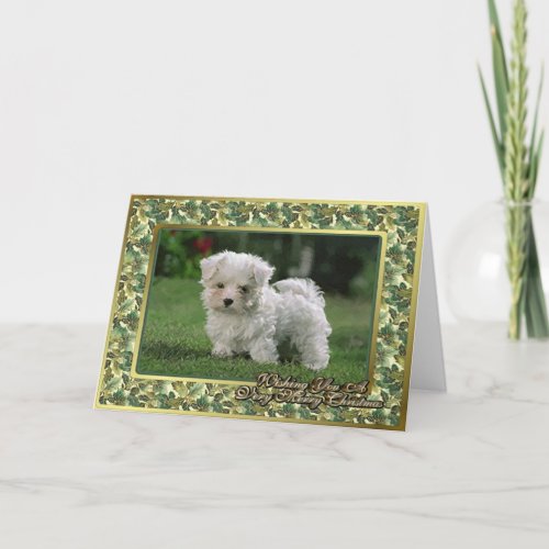 Maltese Puppy Blank Christmas Card