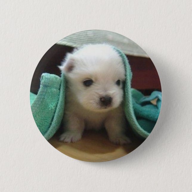 maltese puppy button (Front)