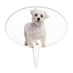 Maltese Dog Cake Toppers | Zazzle