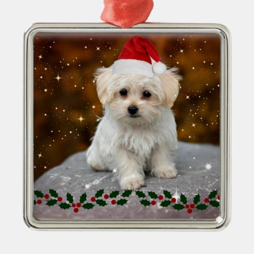 Maltese Puppy celebrates Christmas Metal Ornament