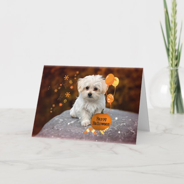 Maltese Puppy Celebrates Halloween Thank You Card (Front)