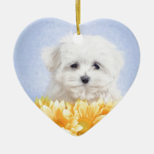 Maltese puppy ceramic ornament