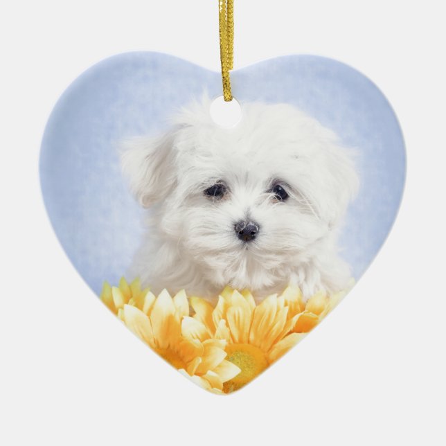 Maltese puppy ceramic ornament (Front)