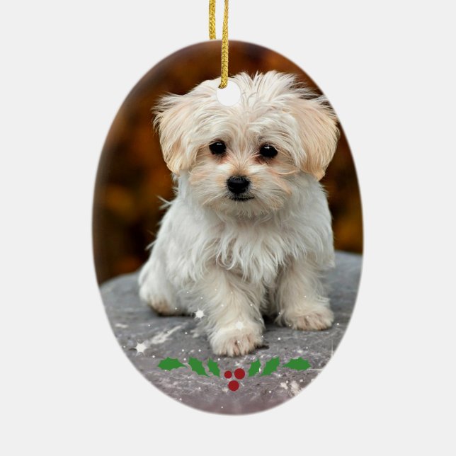 Maltese Puppy Ceramic Ornament (Back)