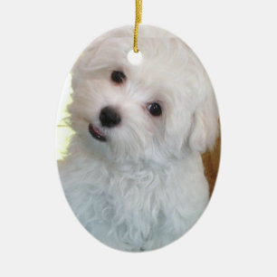 Maltese Puppy Ceramic Ornament