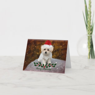 Maltese Puppy Christmas Card