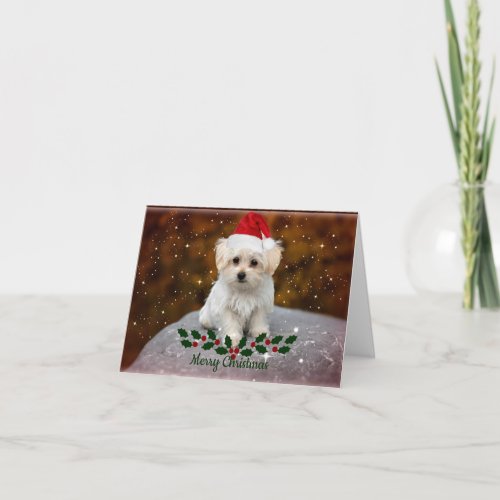 Maltese Puppy Christmas Card