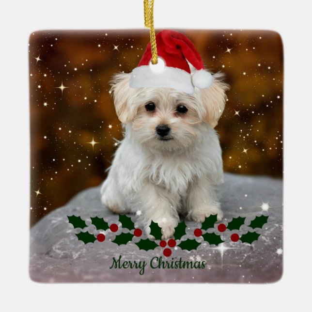 Maltese Puppy Christmas Ceramic Ornament (Front)