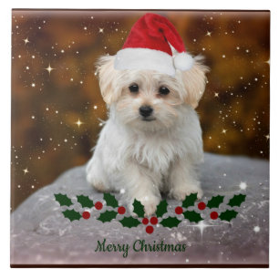 Maltese Puppy Christmas Ceramic Tile