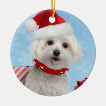 Maltese Puppy Christmas Ornament by lamessegee at Zazzle