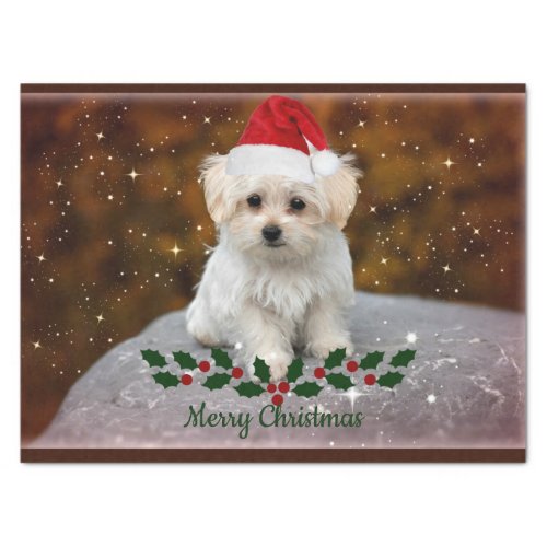 Maltese Puppy Christmas Tissue Paper