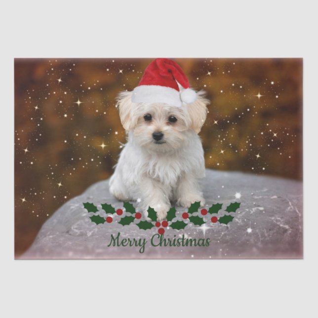Maltese Puppy Christmas Tissue Paper (Front)