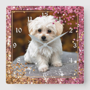 Maltese Puppy, Cute and Cuddly, Square Wall Clock