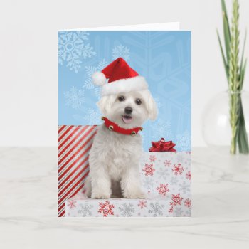 Maltese Puppy Dog Christmas Card by lamessegee at Zazzle