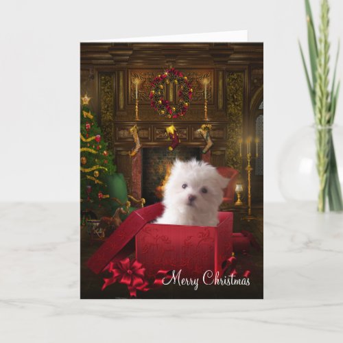 Maltese Puppy Dog Christmas Holiday Card