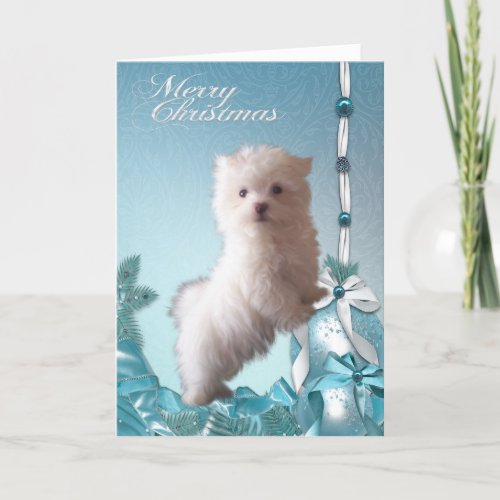 Maltese Puppy Dog Christmas Holiday Card