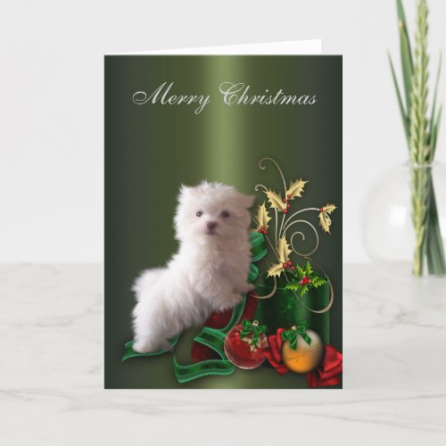 Maltese Puppy Dog Christmas Holiday Card